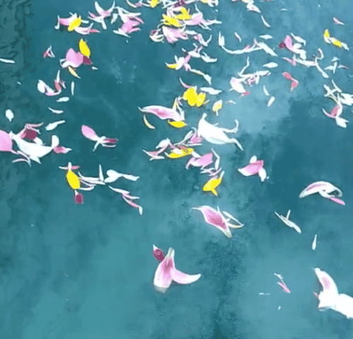 散骨写真１ (1) (1)