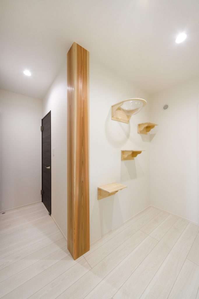 猫ちゃんと一緒に快適に暮らすお家