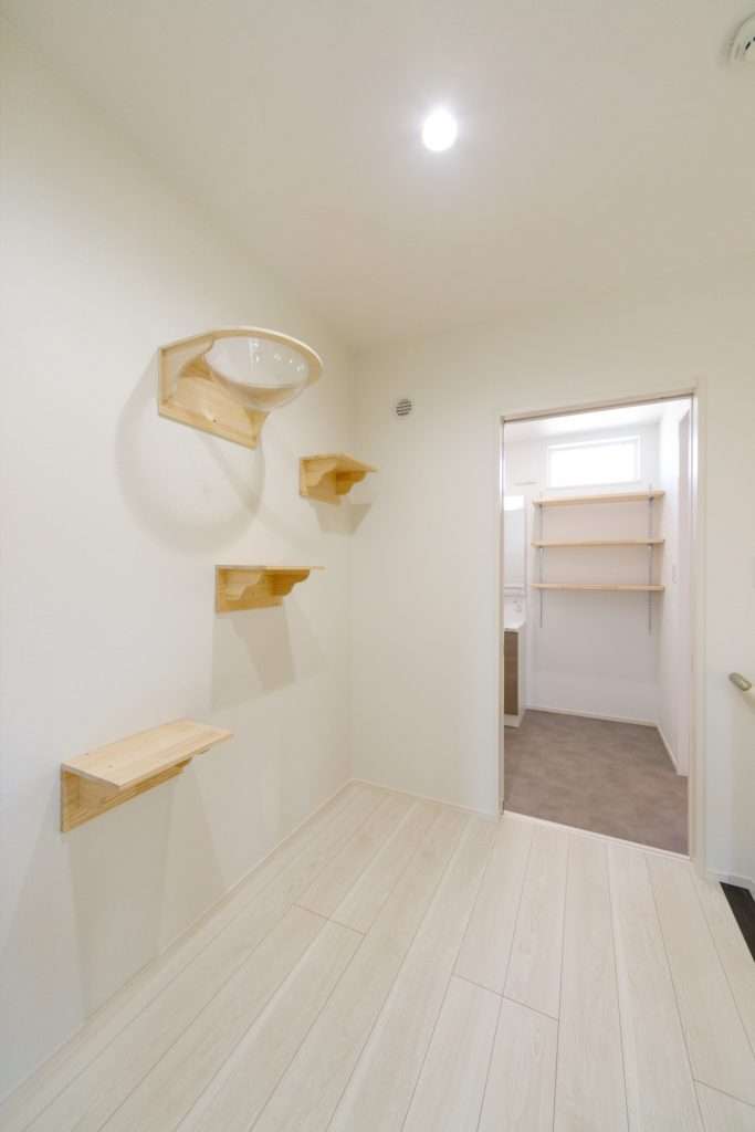 猫ちゃんと一緒に快適に暮らすお家