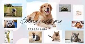 貴方を想う心は永遠に… (1)