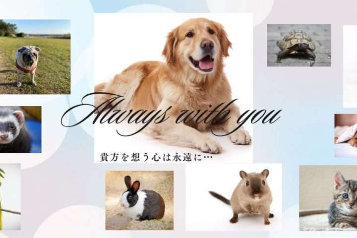 貴方を想う心は永遠に… (1)