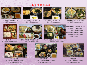 8b4807bc8f3eea92b6d99e7c1f291606-1