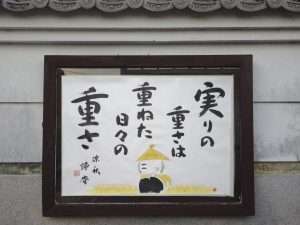 掲示板３３