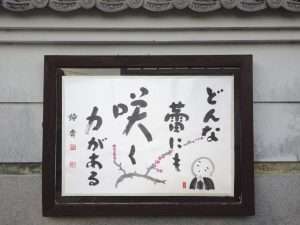 掲示板６１