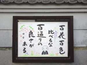 掲示板５０
