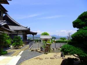 南向きの境内 (2)