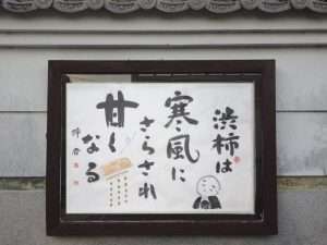 掲示板５９