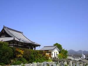 1 全景