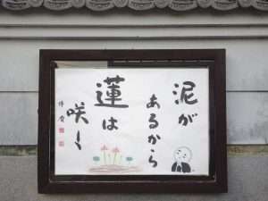 掲示板４２