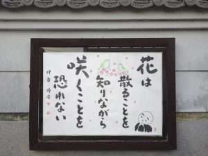 掲示板３８