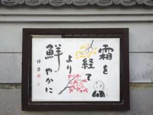 掲示板４６
