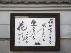 掲示板３７