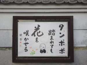 掲示板２７