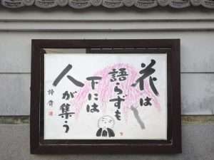掲示板６２